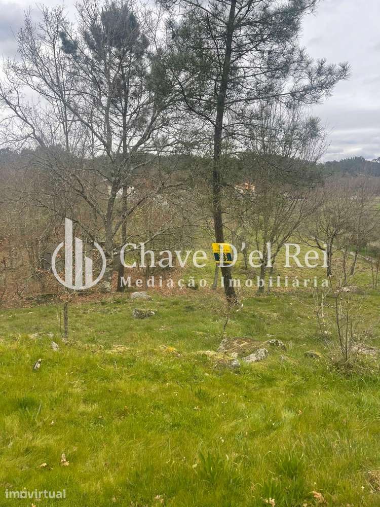 Terreno Misto  Venda em São Miguel do Mato,Vouzela - Grande imagem: 4/4