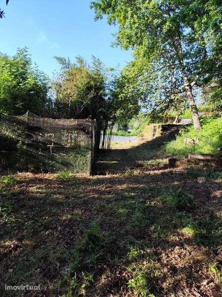 Terreno Rústico/Quintinha em Tondela - Grande imagem: 5/10