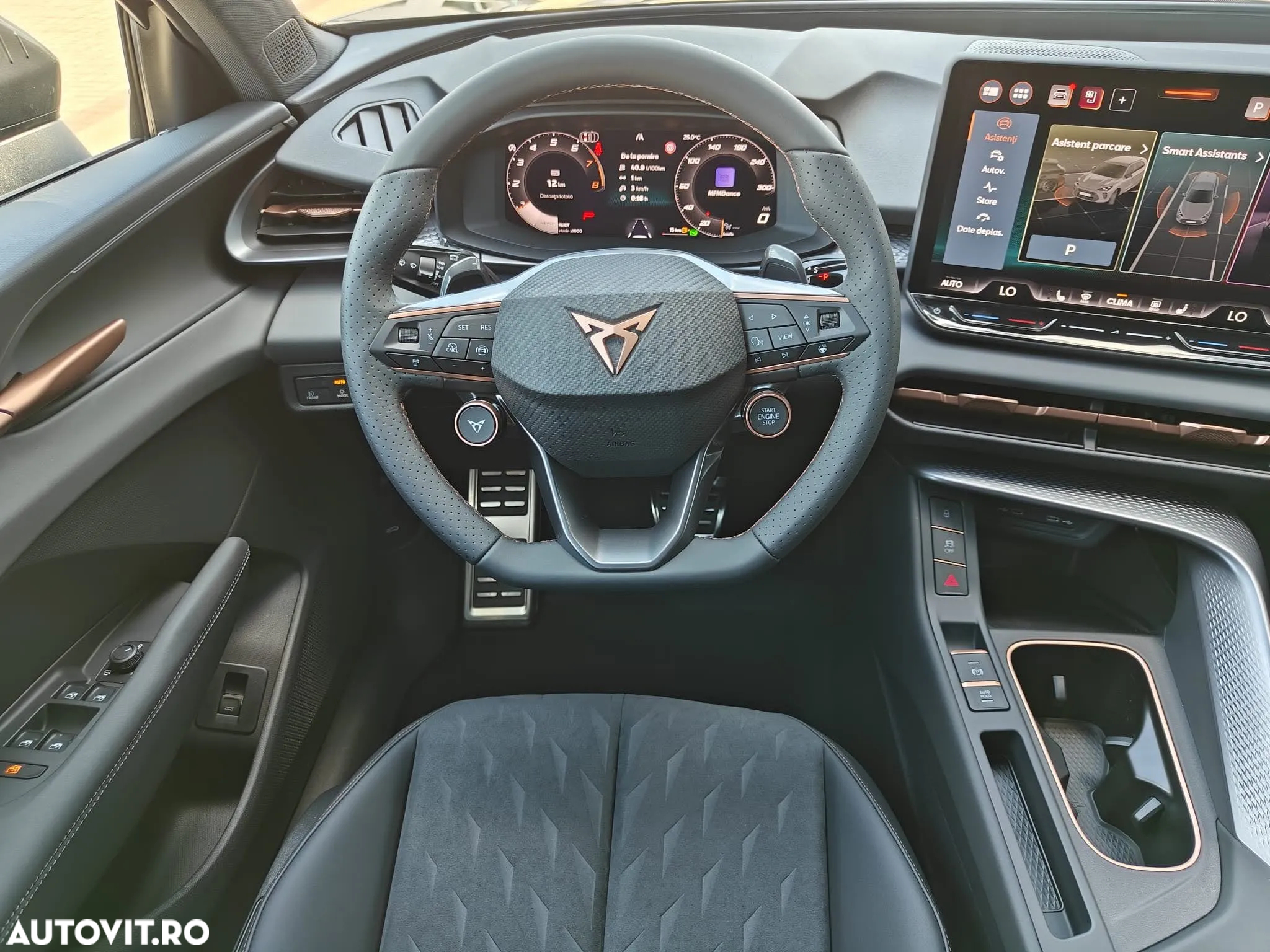 Cupra Terramar - 7