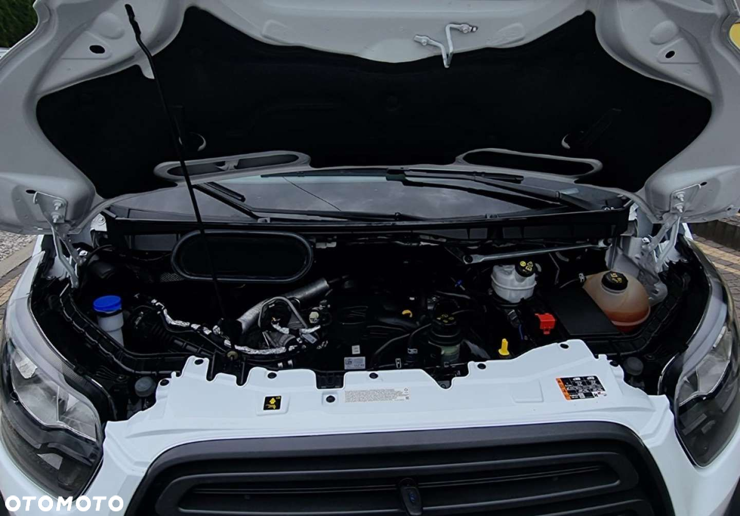 Ford Transit - 35