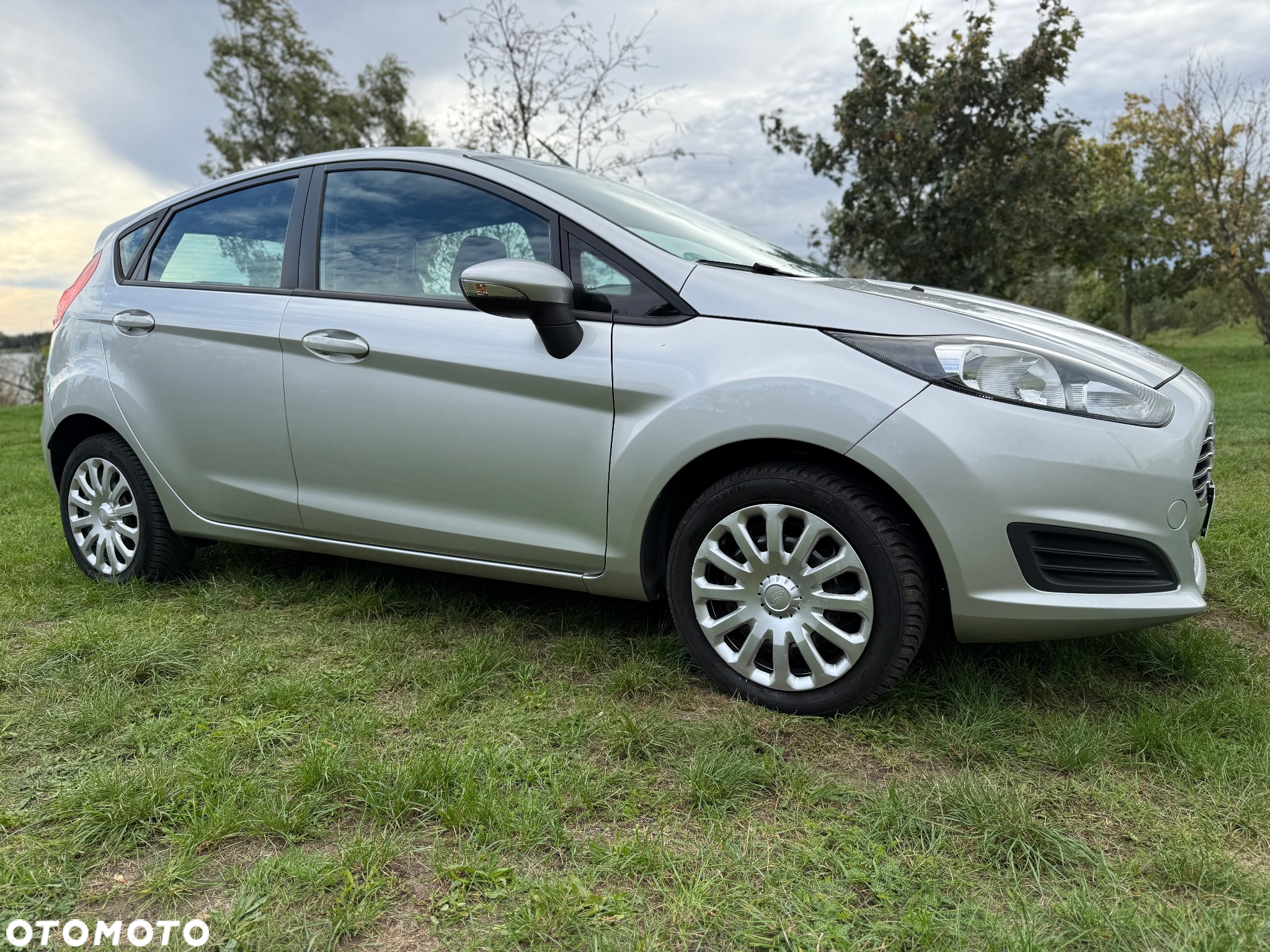 Ford Fiesta 1.25 Silver X (Trend) EU5 - 18