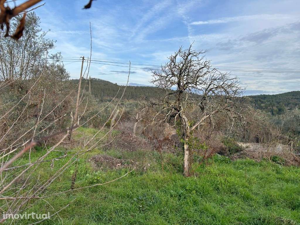 Terreno urbano - Grande imagem: 4/12