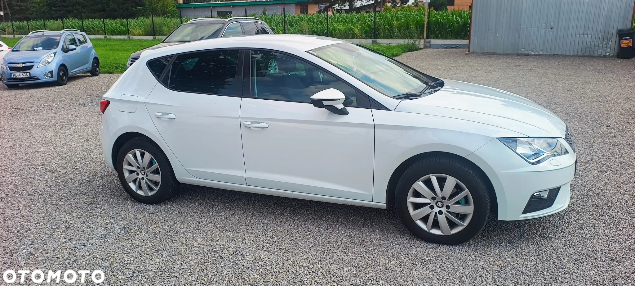 Seat Leon 1.6 TDI Reference EU6 - 3