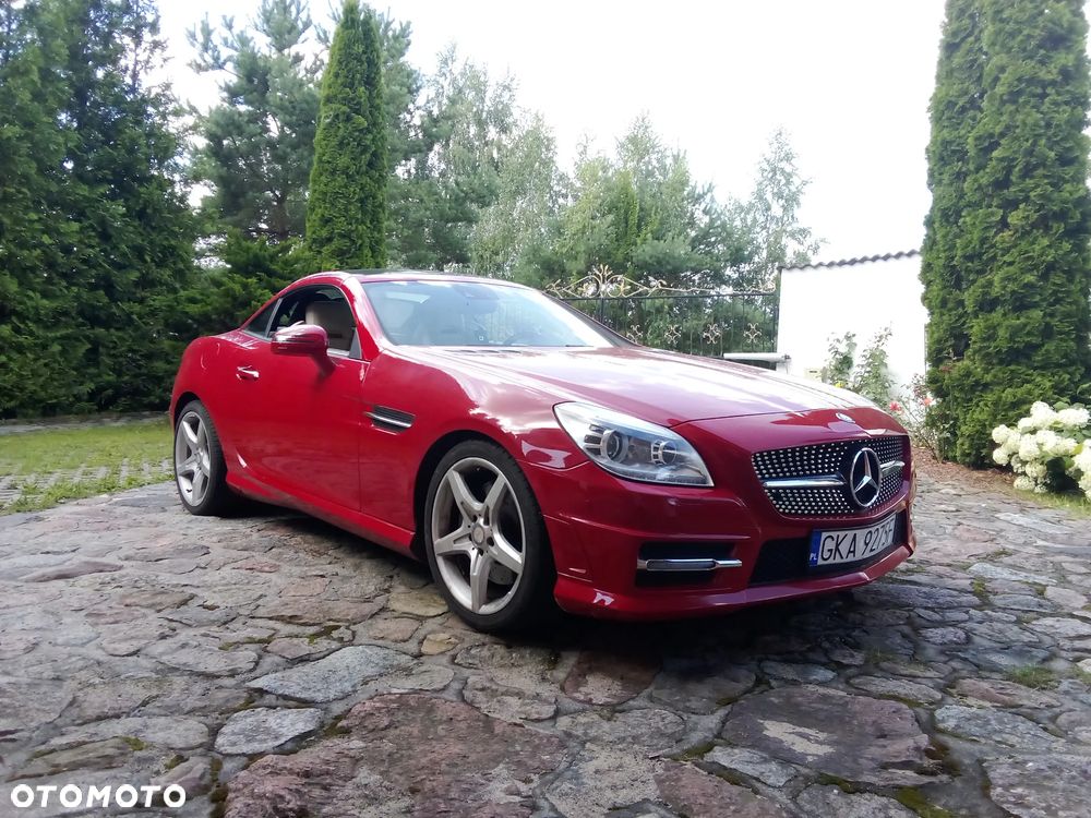Mercedes-Benz SLK 250 (BlueEFFICIENCY) 7G-TRONIC - 2