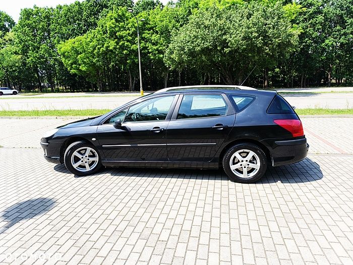Peugeot 407 - 6