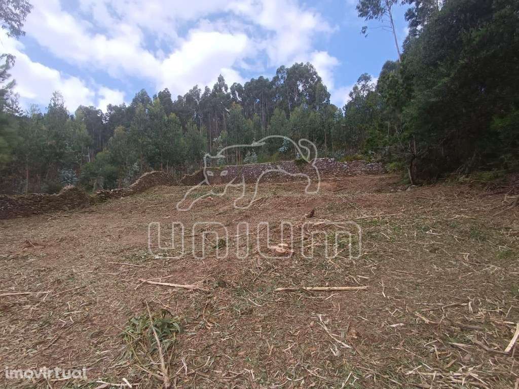 Terreno Urbano com projeto aprovado em Vilarelho - Grande imagem: 4/8