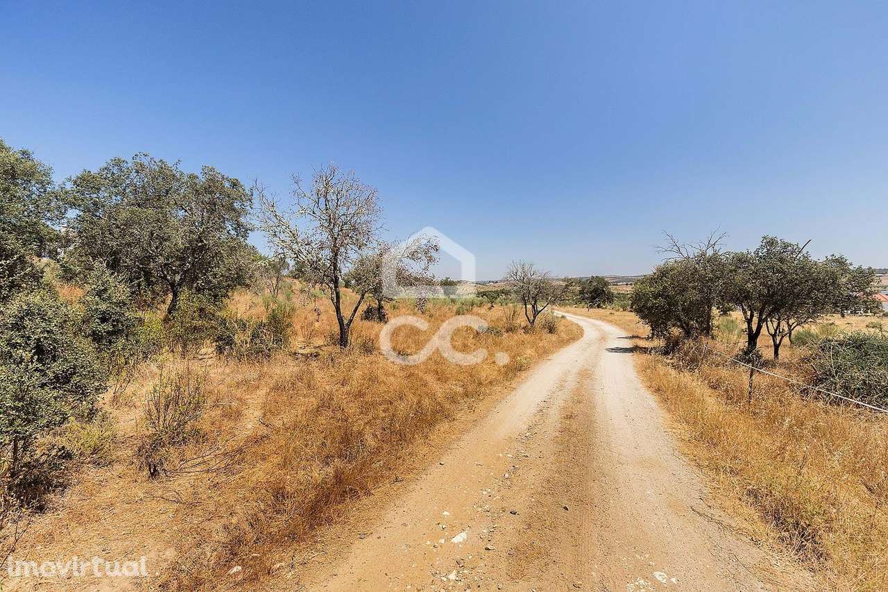 Terreno rústico com 13250 m2 | Terena - Grande imagem: 3/12