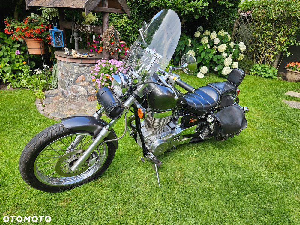 Suzuki Savage - 3