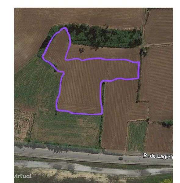 Terreno agrícola para arrendamento – Vila do Conde (Lagielas) - Grande imagem: 2/2