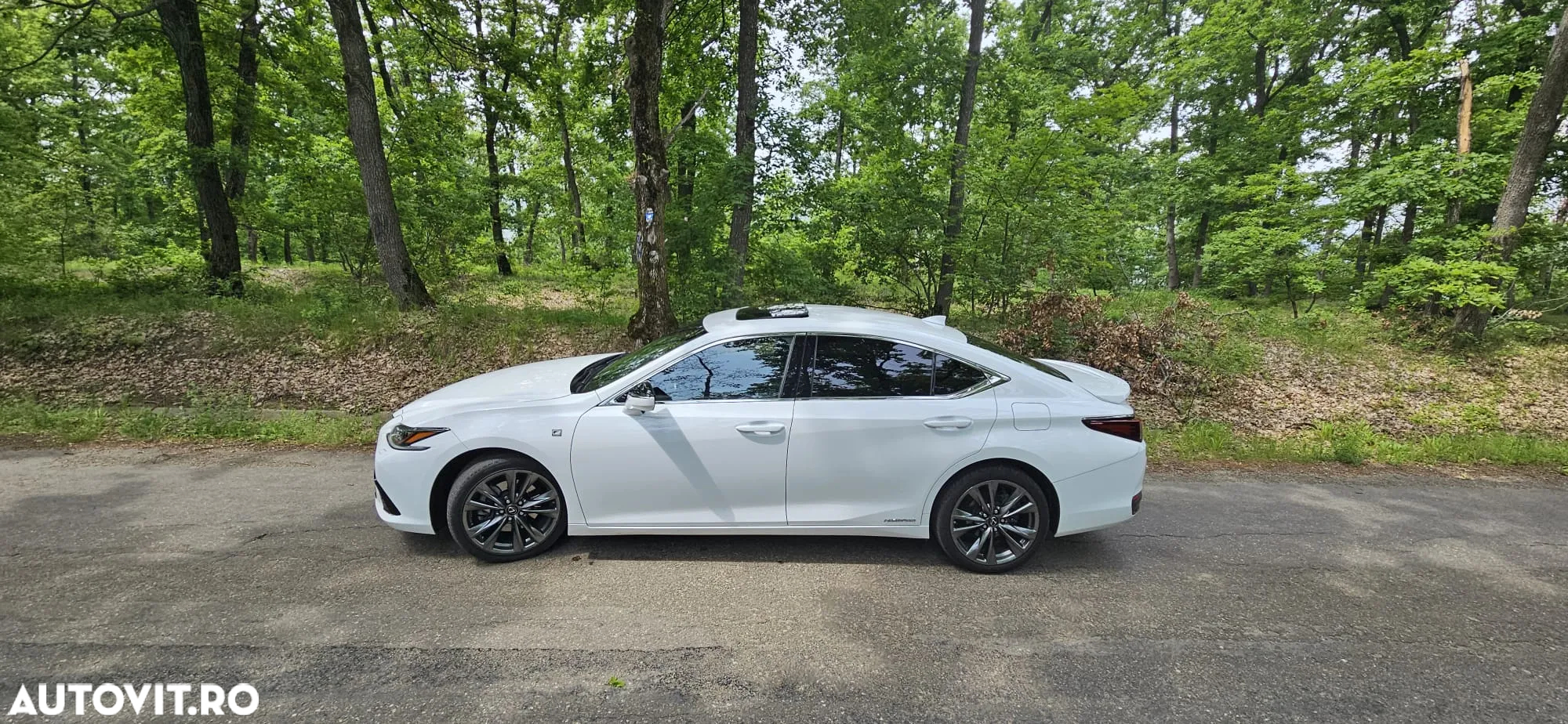 Lexus Seria ES 300h F Sport - 13