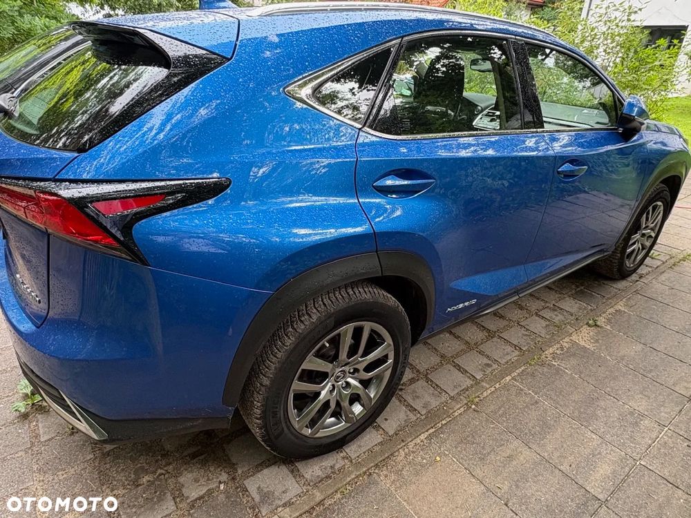 Lexus NX 300h Optimum AWD - 5