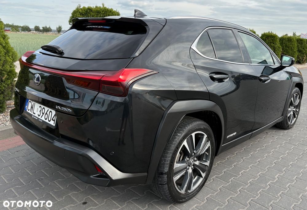 Lexus UX 250h GPF Business Edition 2WD - 5