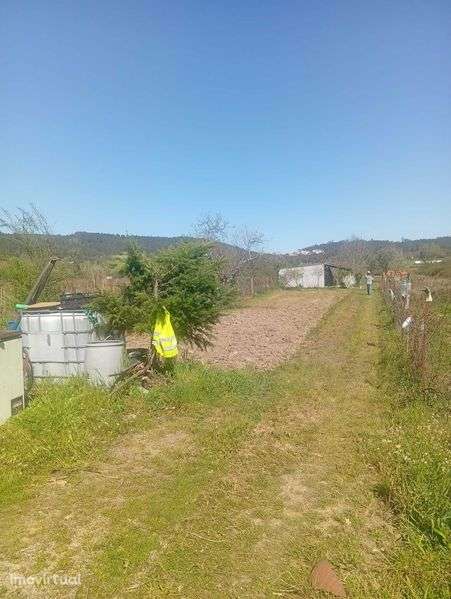 Terreno Rústico 2600m2 com anexo - Grande imagem: 4/9