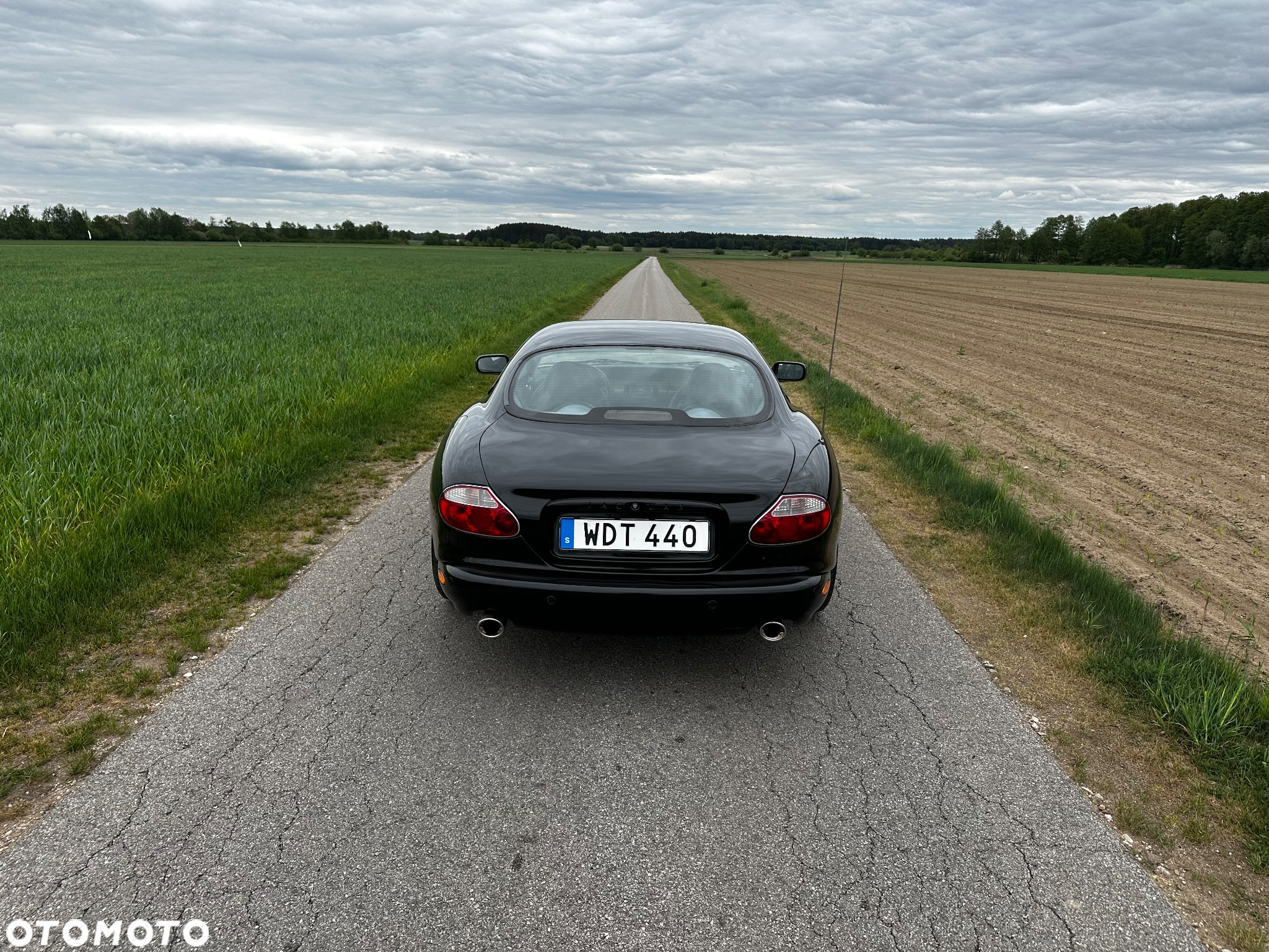 Jaguar XK8 4.2 - 5