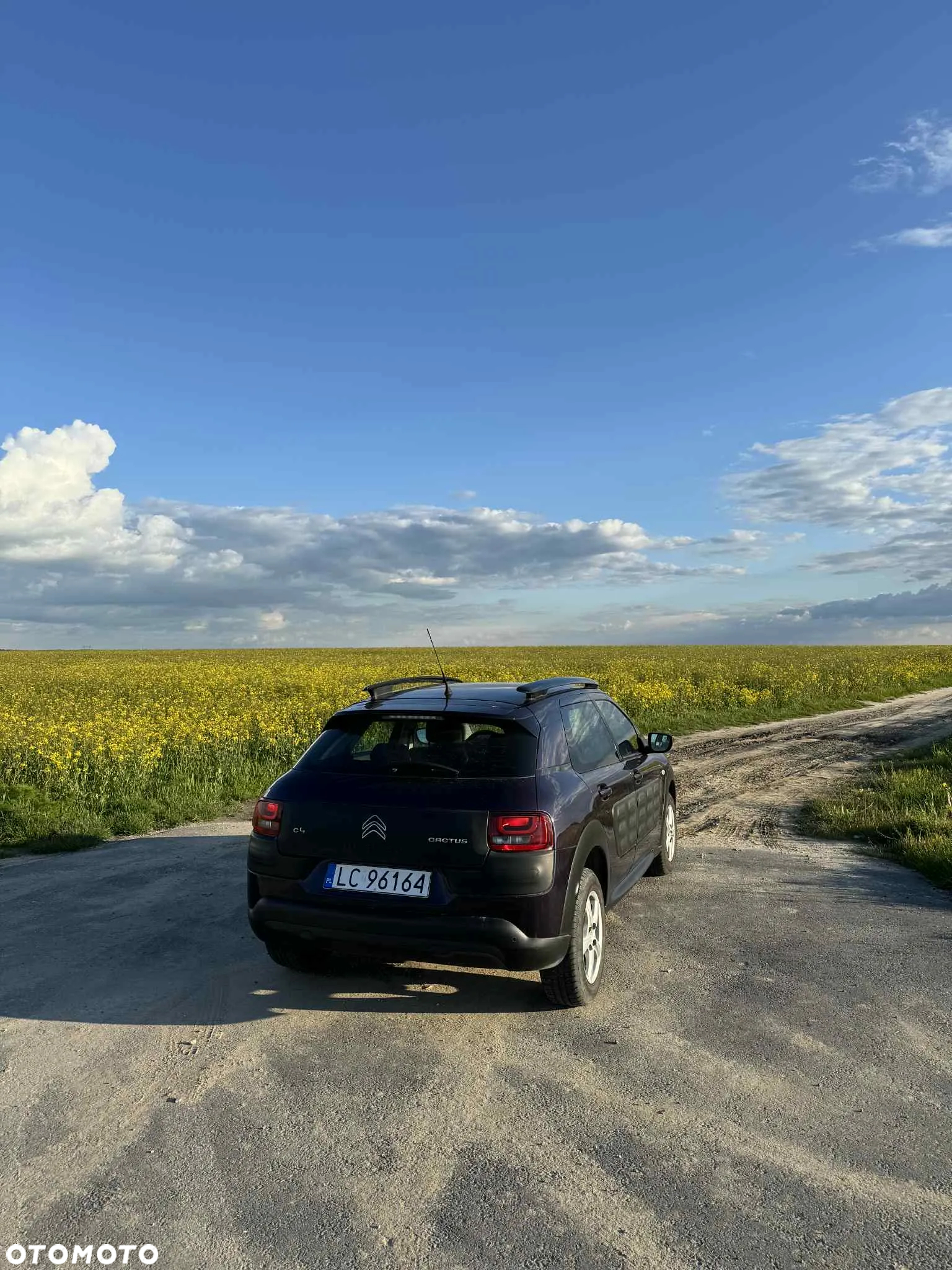 Citroën C4 Cactus - 4