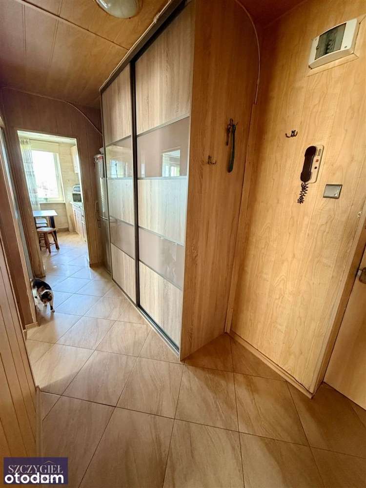 Mieszkanie, 47,80 m², Ruda Śląska - Pełny obrazek: 4/12