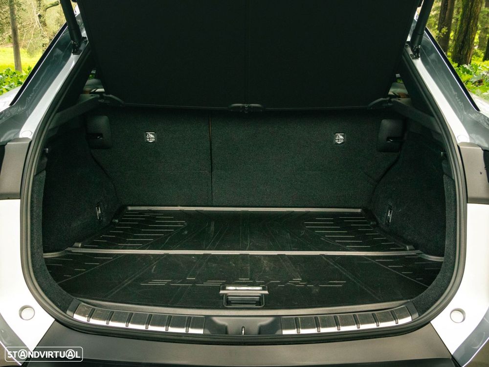 Lexus RZ 300e Premium - 15