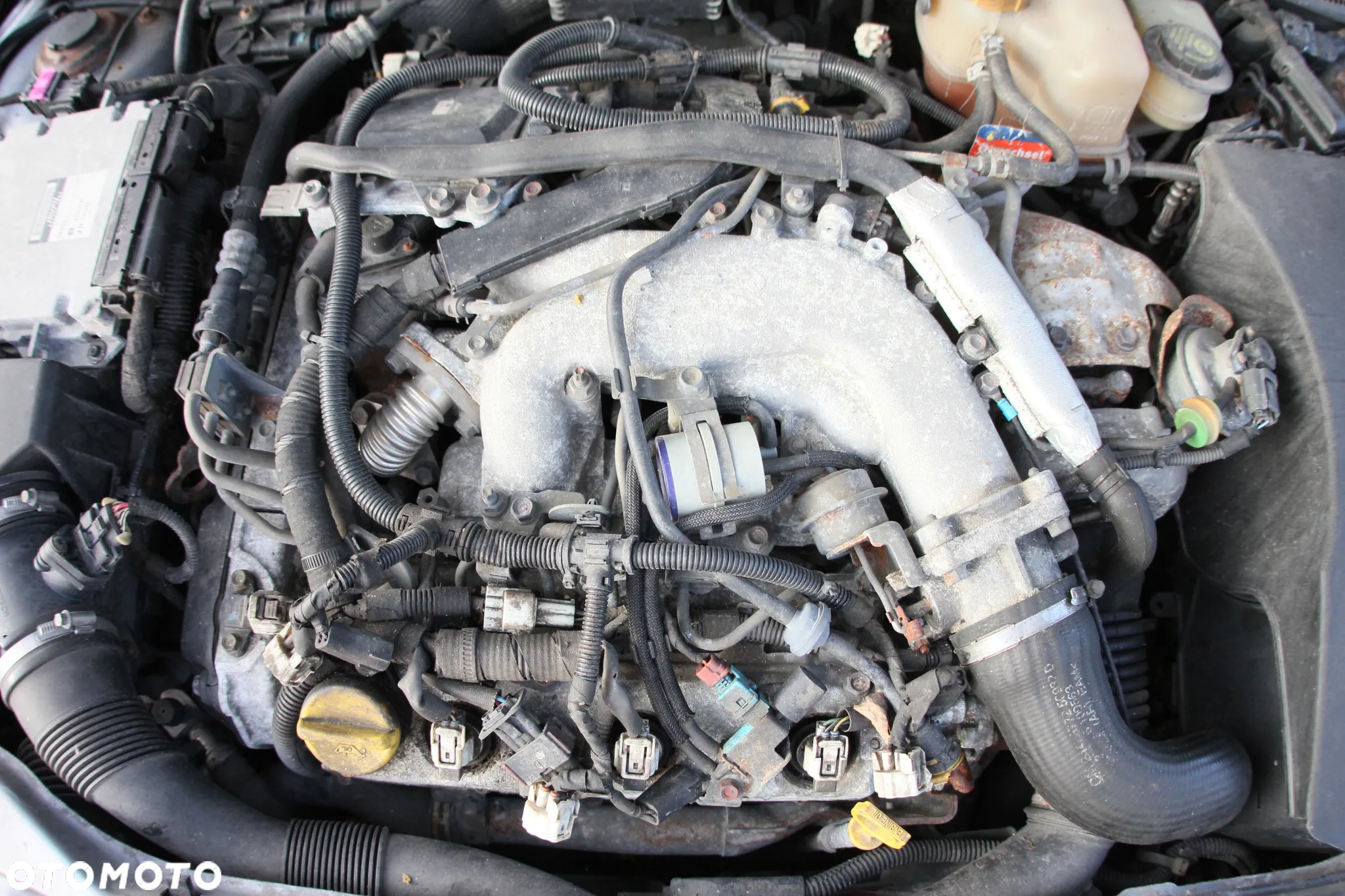 Opel Signum - 23