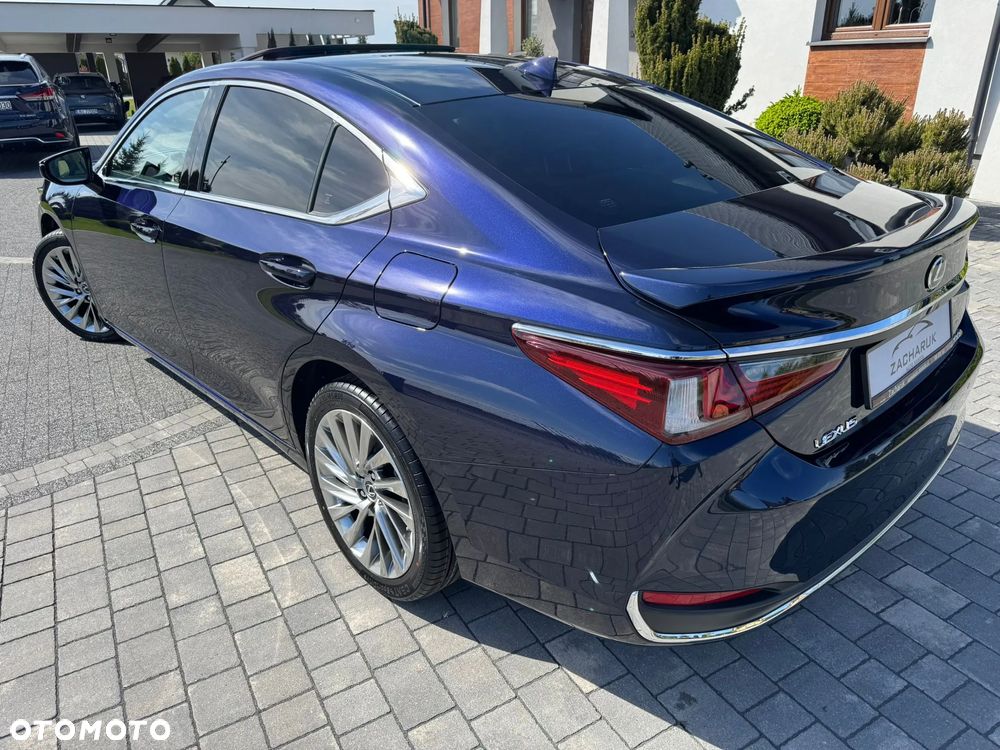 Lexus ES 300h Omotenashi - 4
