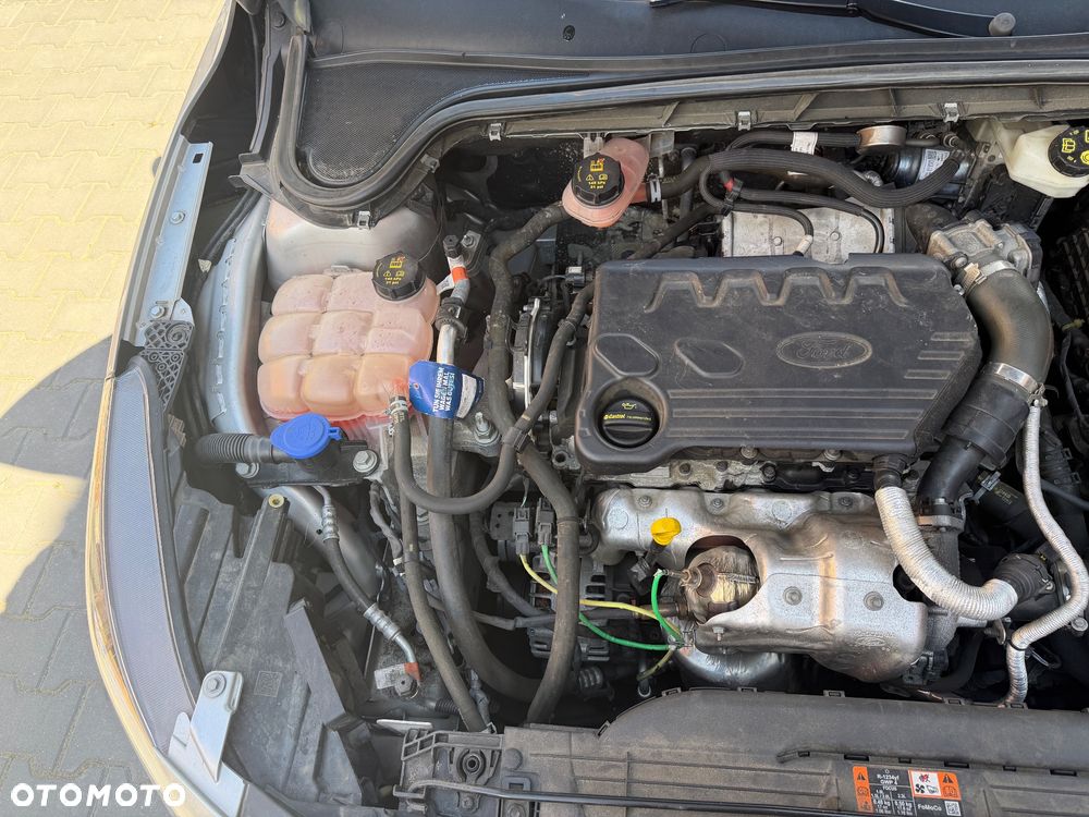 Ford Focus 1.5 EcoBlue STart-Stopp-System TITANIUM - 16