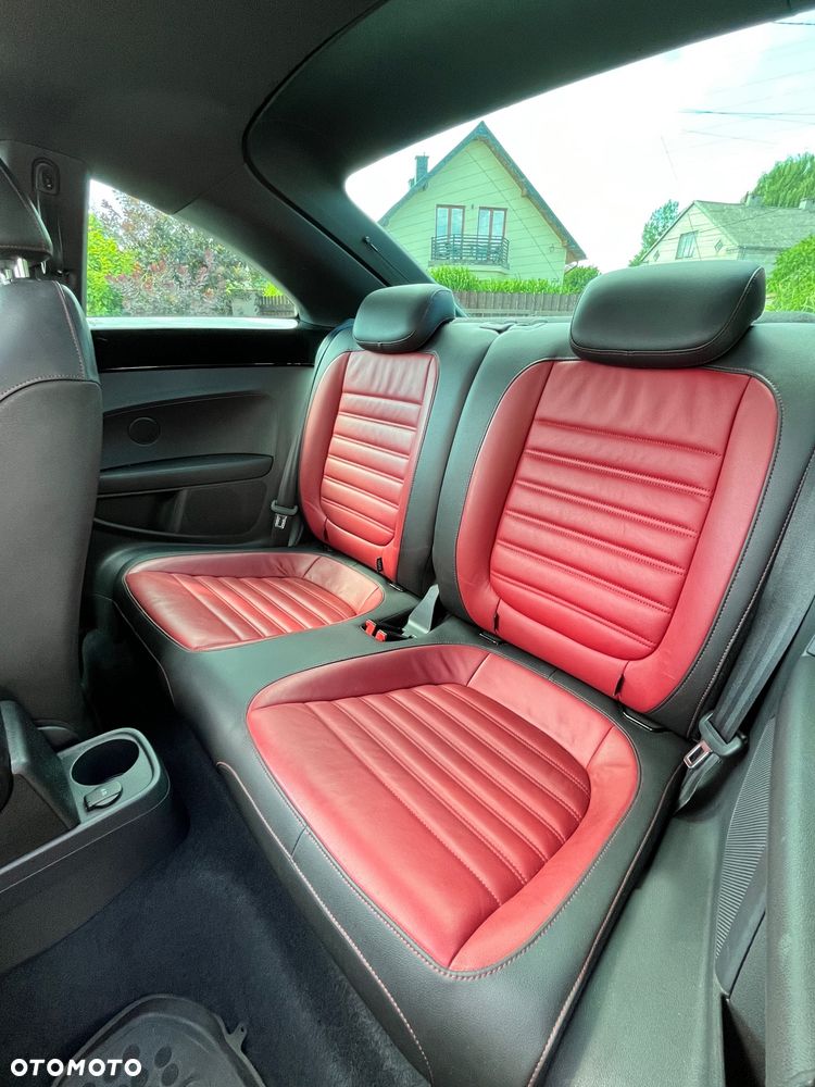 Volkswagen Beetle - 8