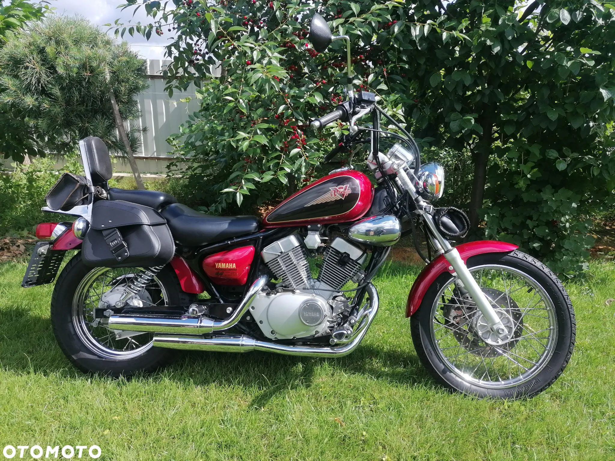 Yamaha Virago - 1