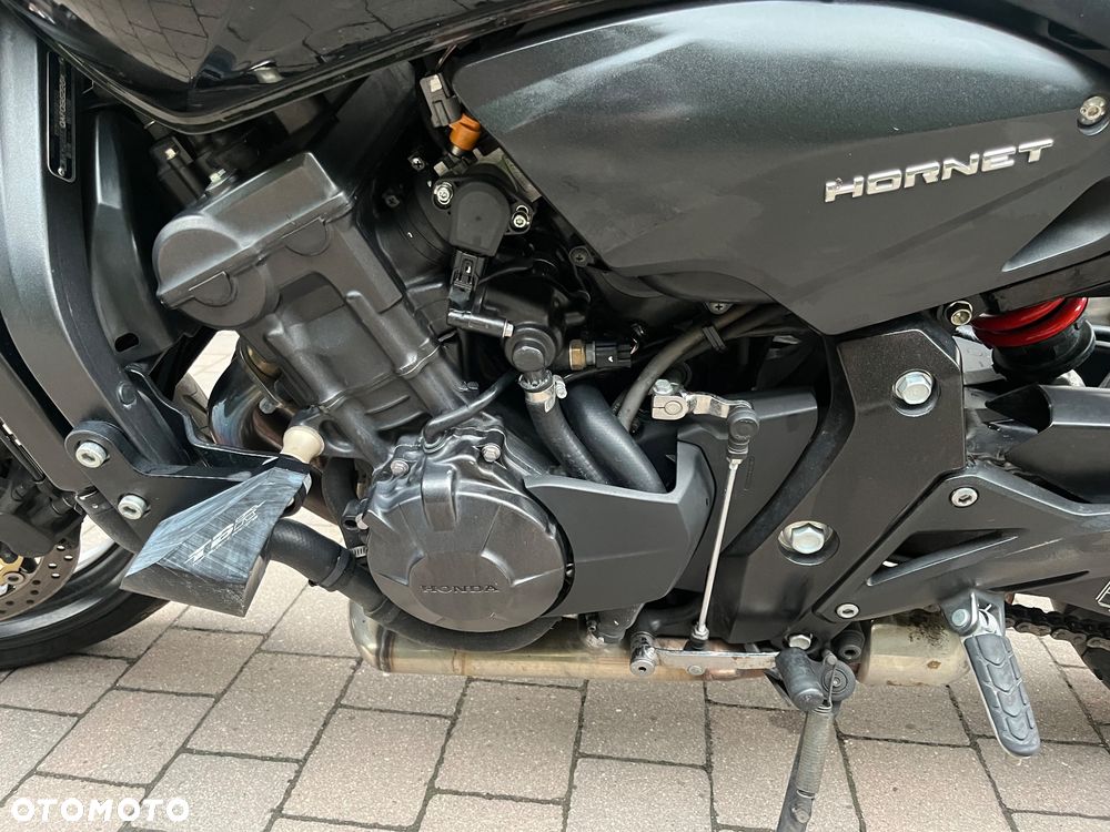 Honda Hornet - 6