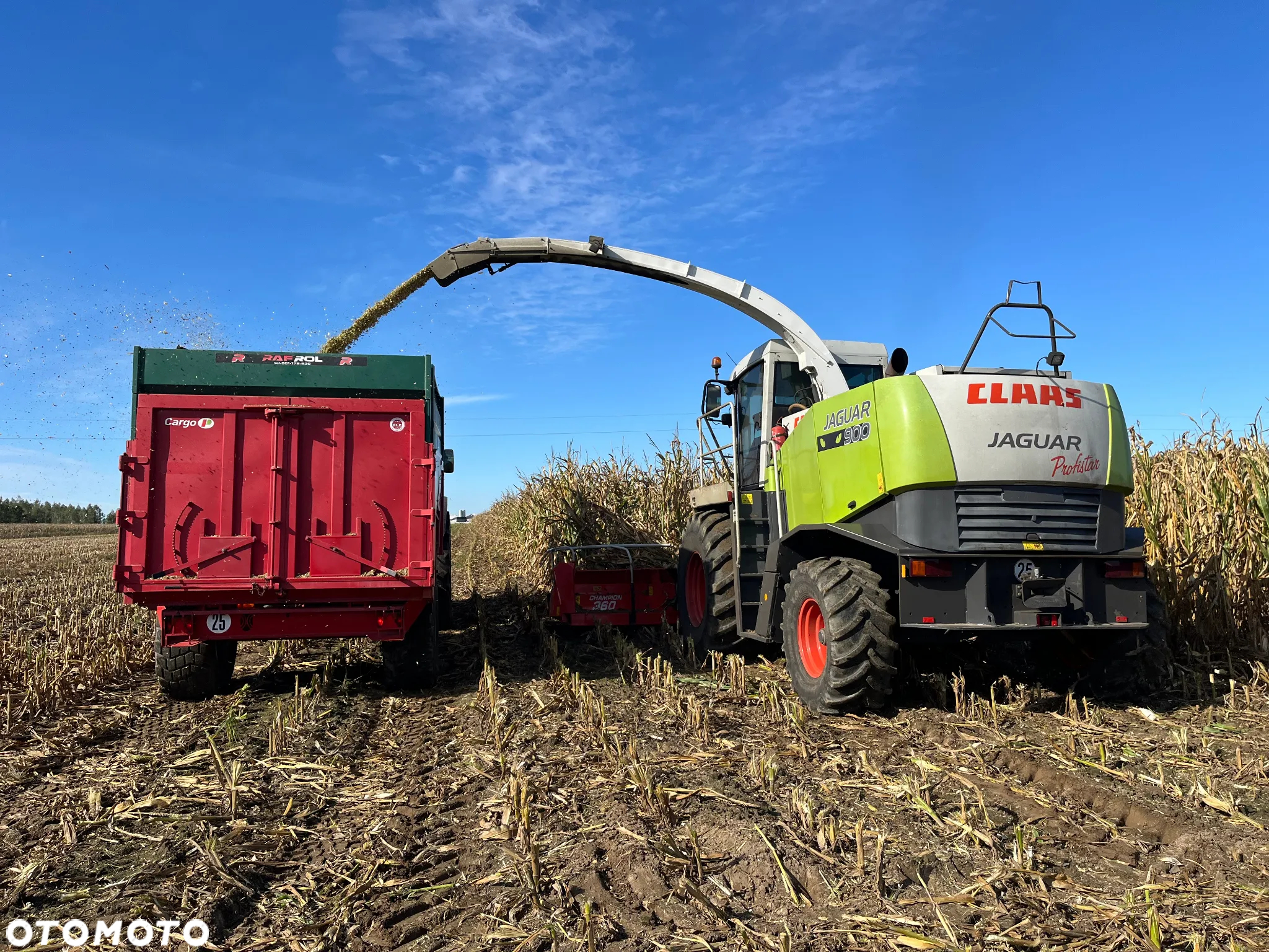 Claas Jaguar 900 ProfiStar - 6