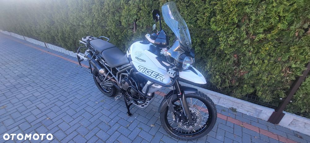Triumph Tiger - 8