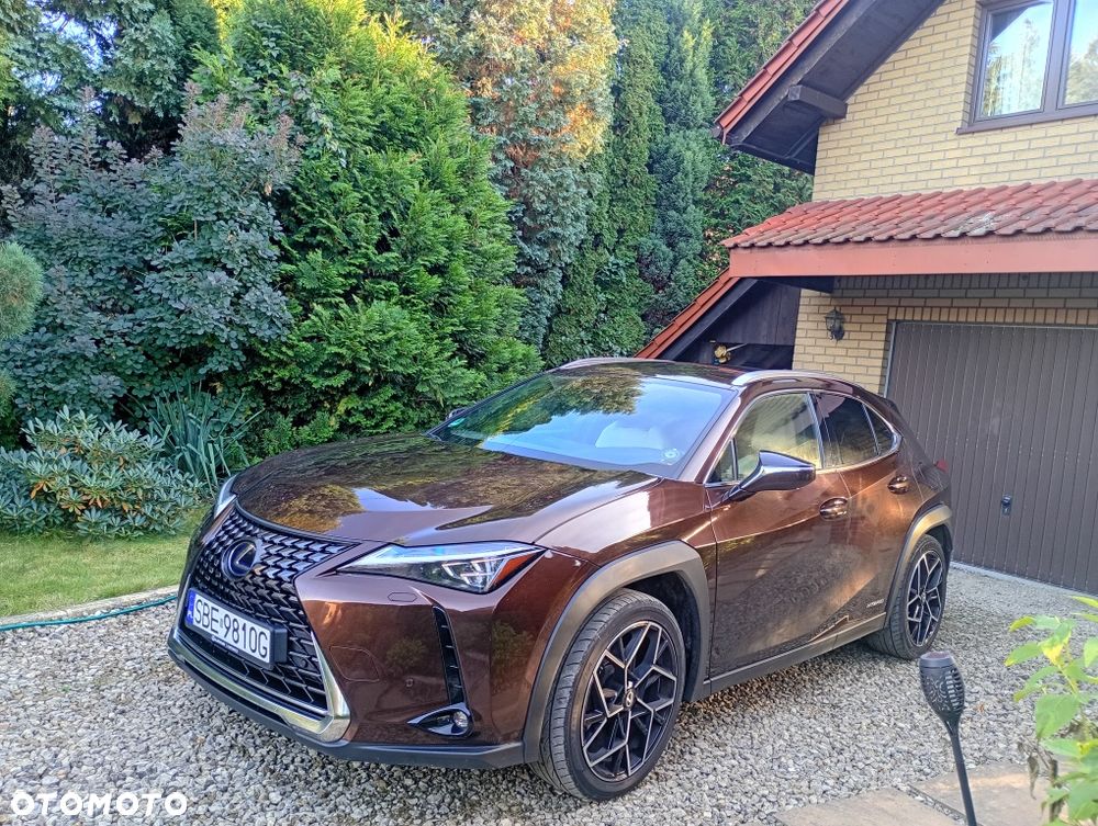 Lexus UX