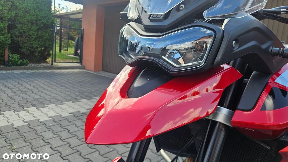 Triumph Tiger - 16