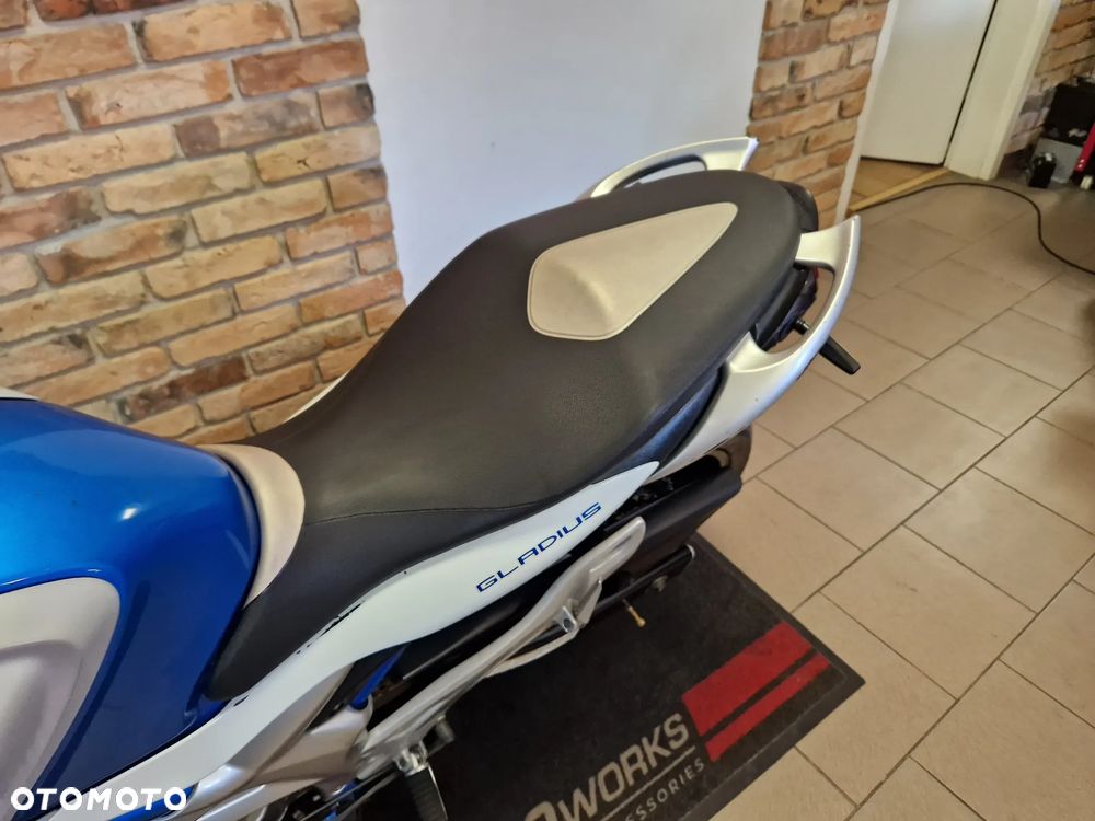 Suzuki Gladius - 15