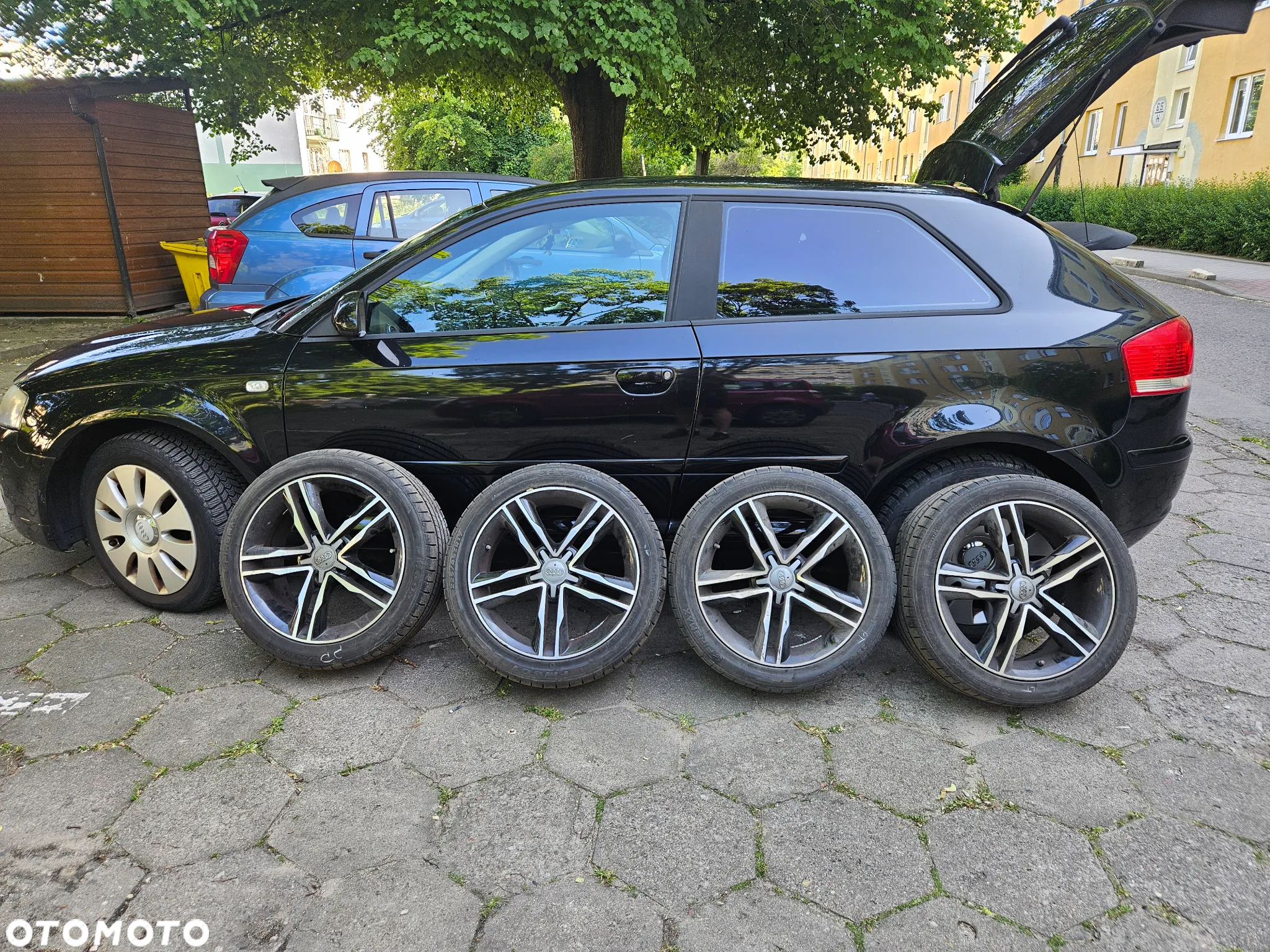 Audi A3 1.6 FSI Ambition - 14