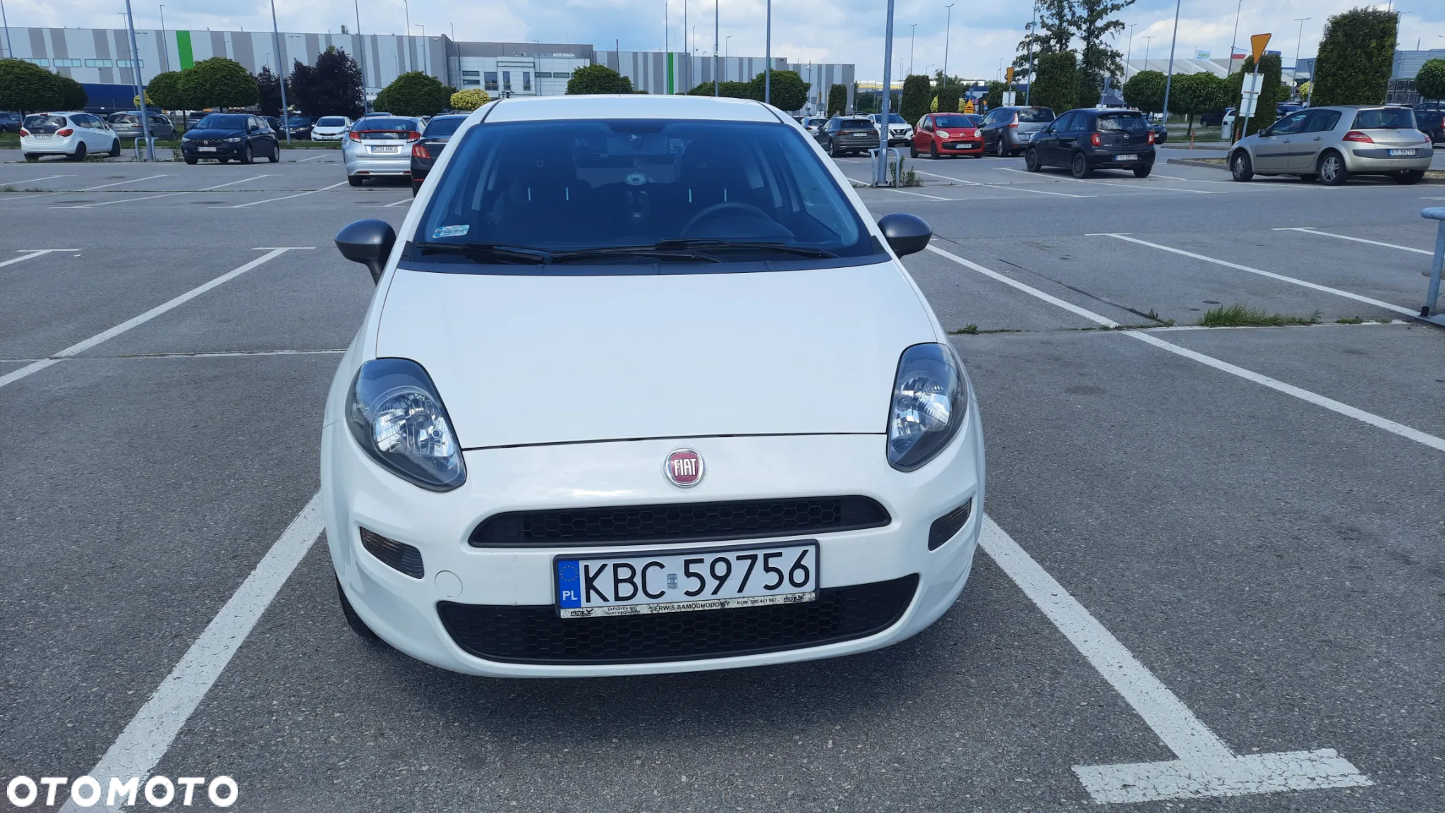 Fiat Punto Evo 1.2 8V Young II - 2