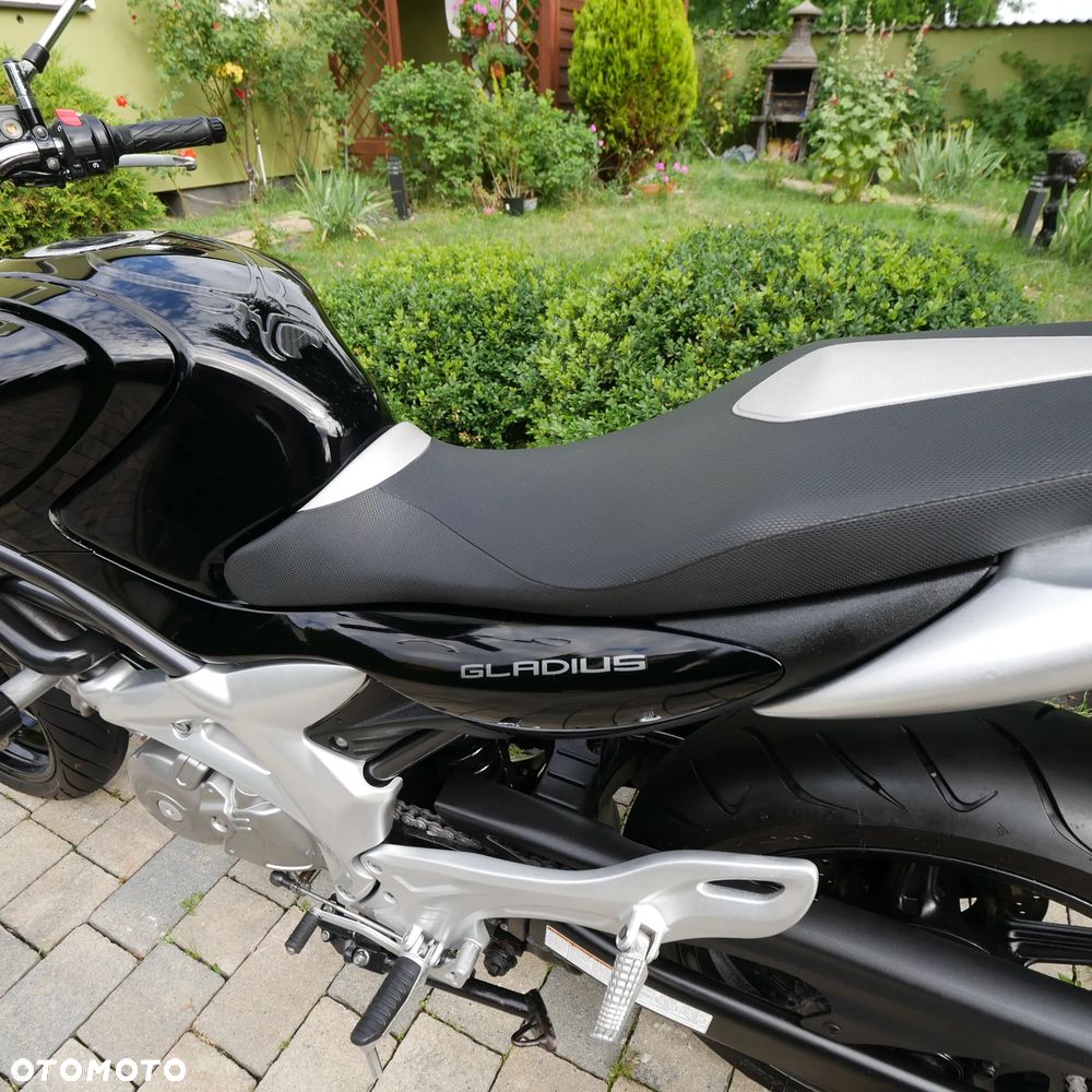 Suzuki Gladius - 7