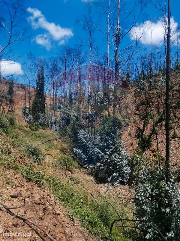 Terreno  para venda - Grande imagem: 4/14