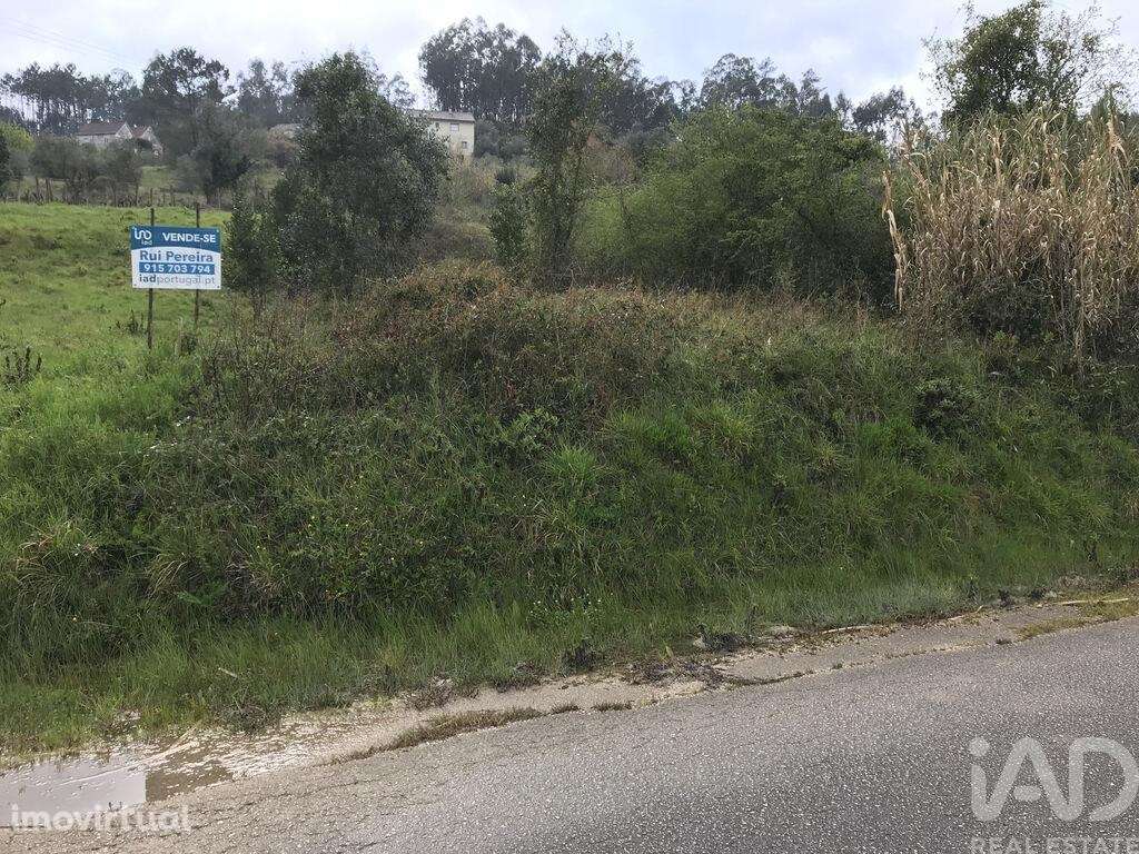 Terreno em Santiago e São Simão de Litém e Albergaria dos Doze de 1150 - Grande imagem: 3/27