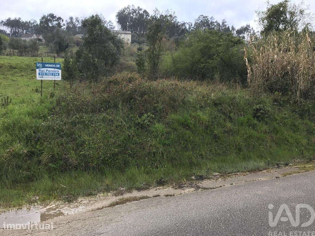 Terreno em Santiago e São Simão de Litém e Albergaria dos Doze de 1150 - Grande imagem: 3/27