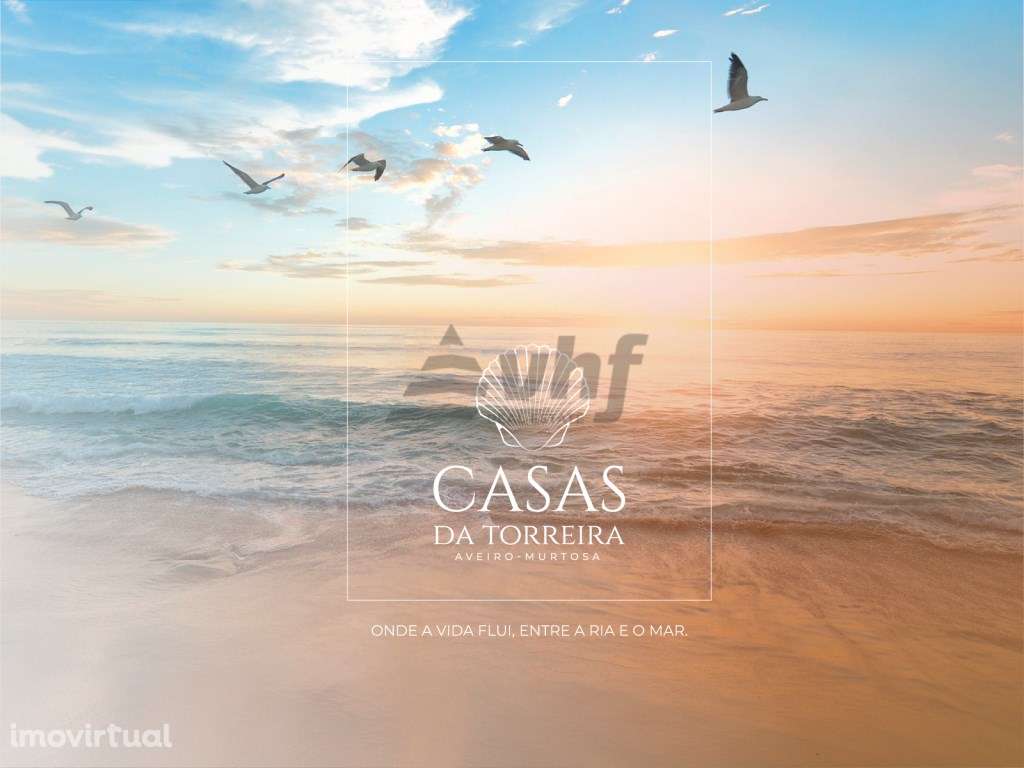 Terreno a 500mts da praia em zona tranquila - 2,5Km Torreira - Grande imagem: 4/16