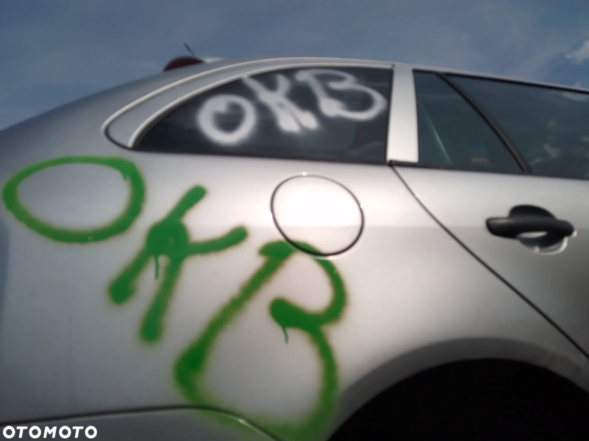 SKODA FABIA I LIFT 04-08 1.9 TDI  DRZWI PRZÓD TYŁ PRAWE LEWE  9102 - 18