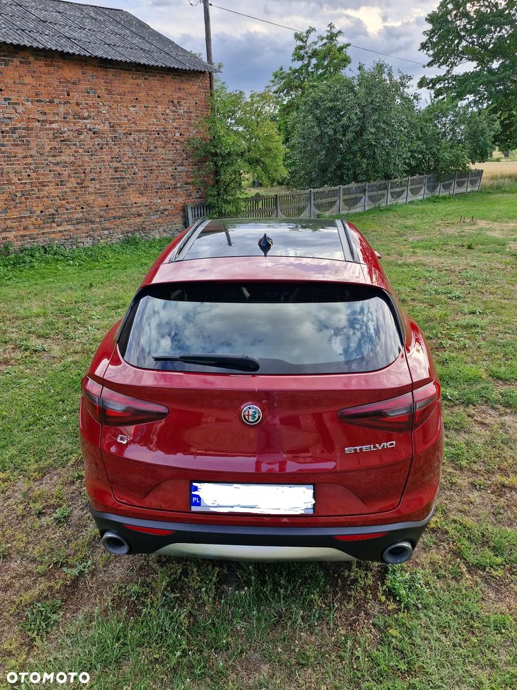 Alfa Romeo Stelvio 2.0 Turbo Executive Q4 - 5