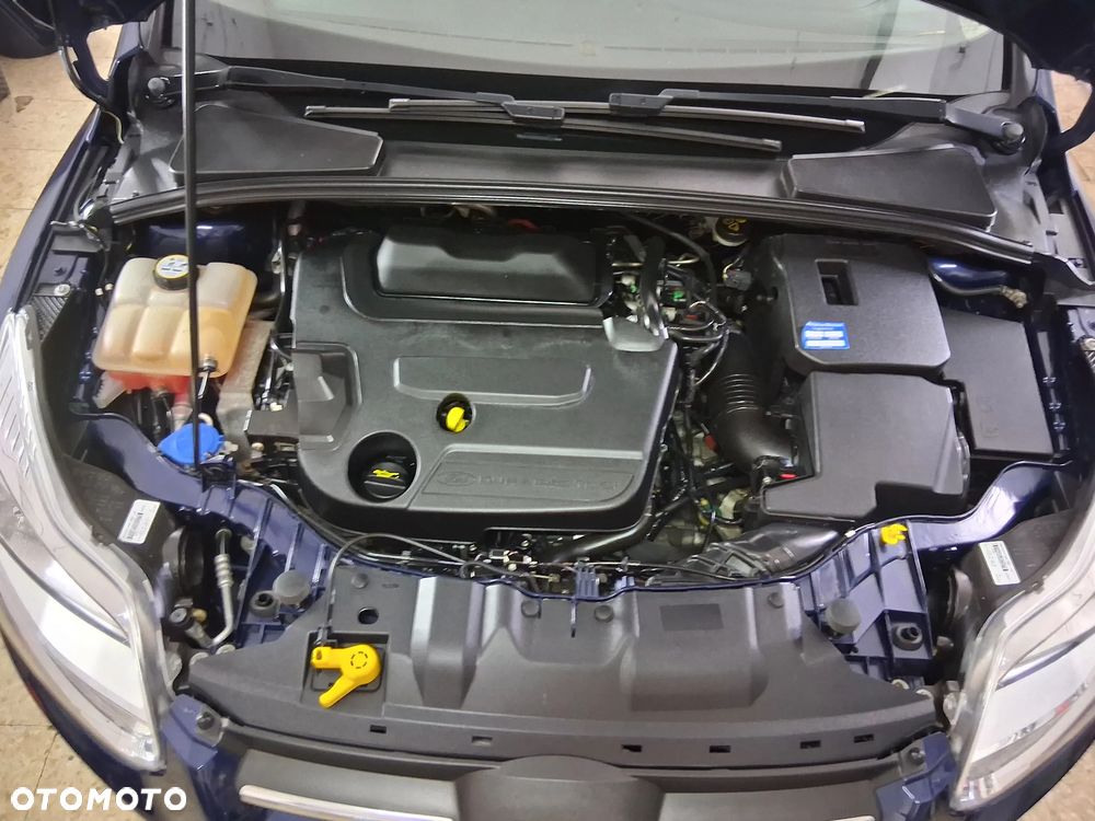 Ford Focus - 20