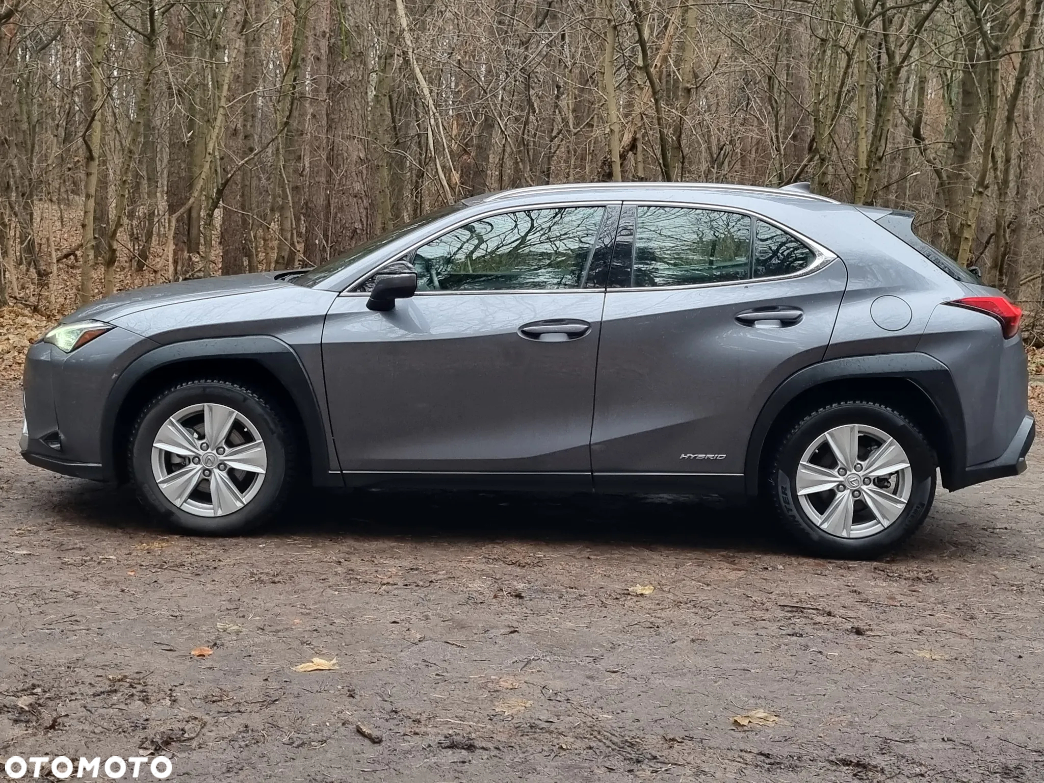 Lexus UX - 10