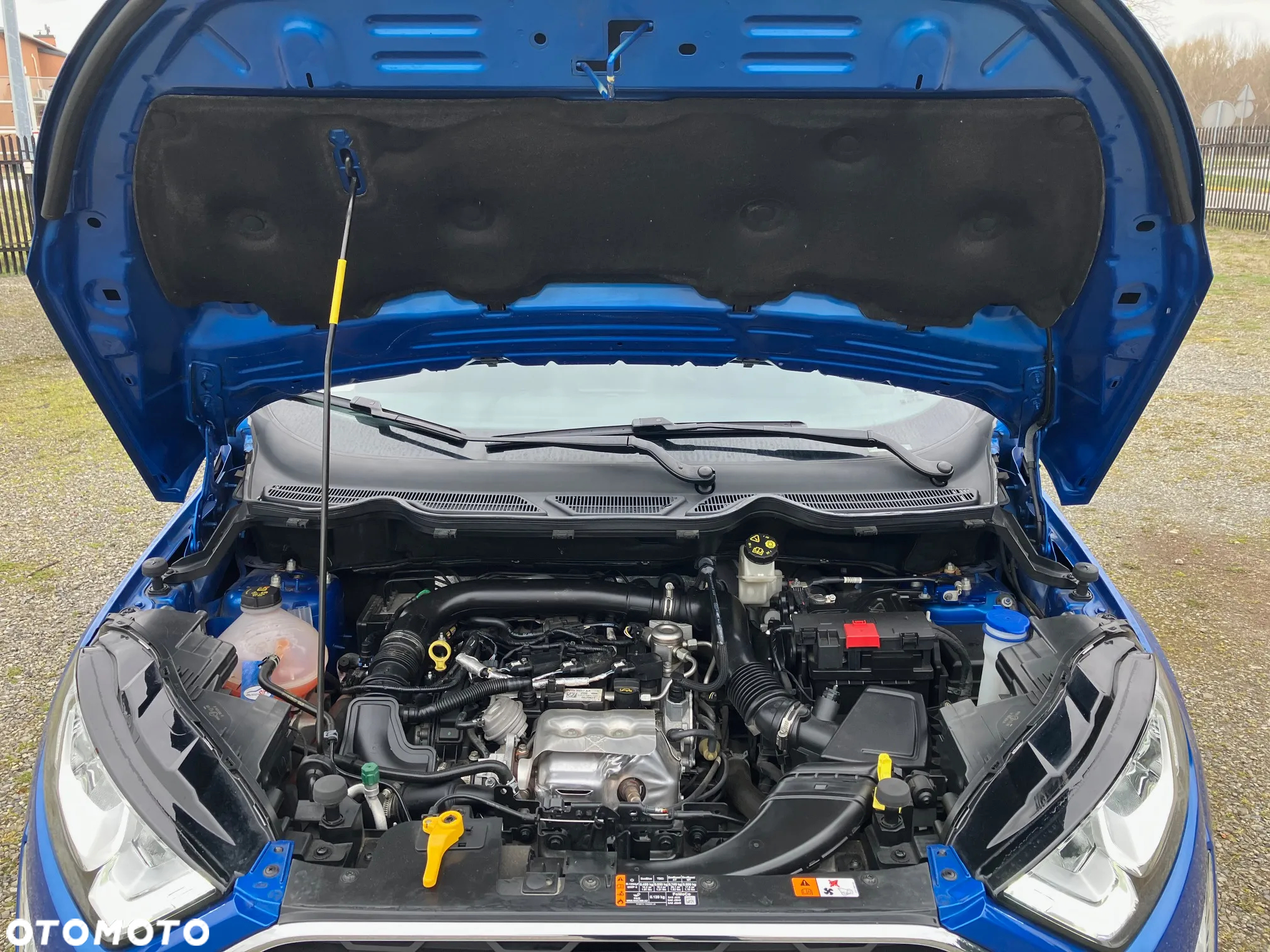 Ford EcoSport 1.0 EcoBoost Titanium ASS - 26