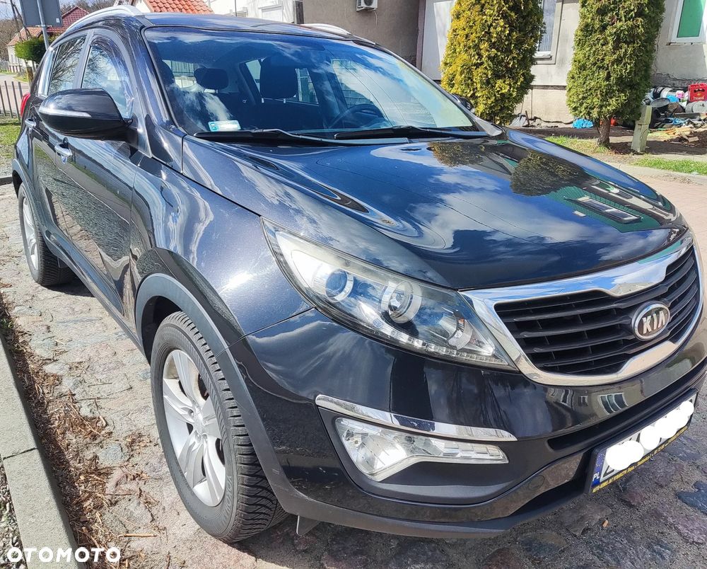 Kia Sportage - 1