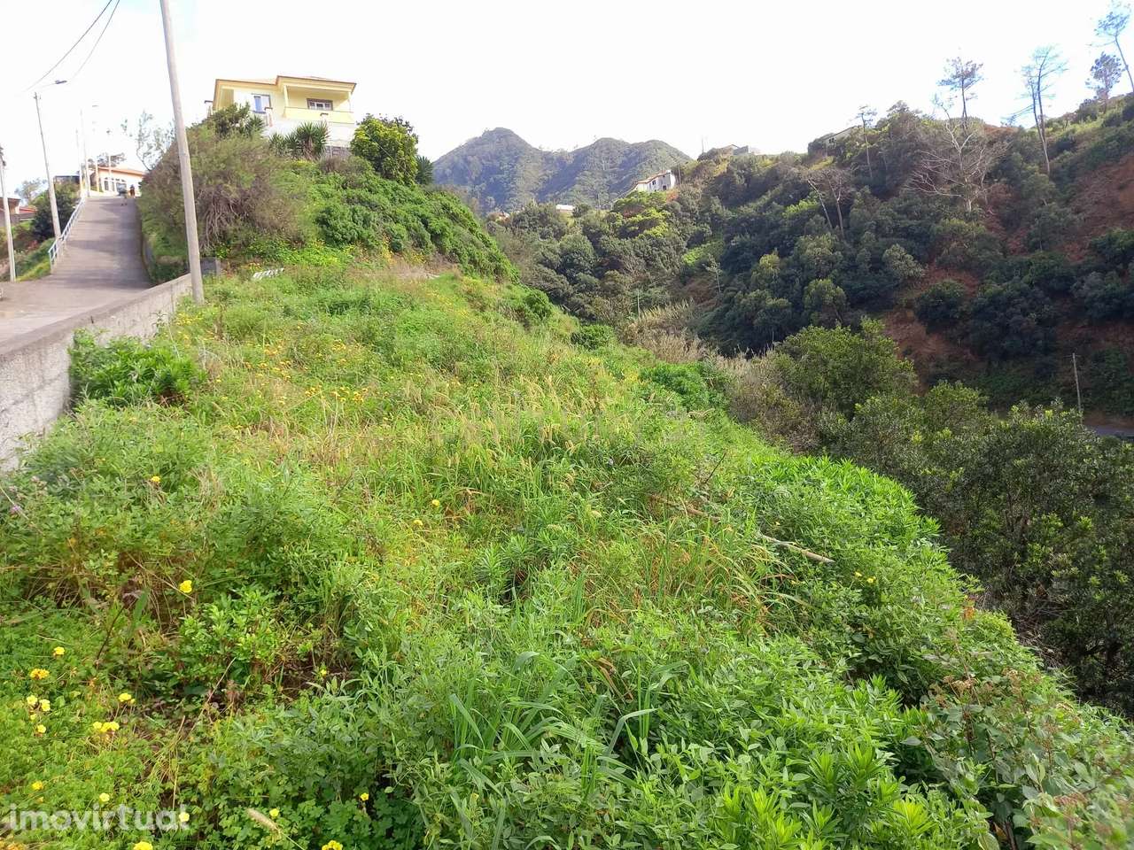 Terreno agrícola - Maiata - Machico - Grande imagem: 4/6