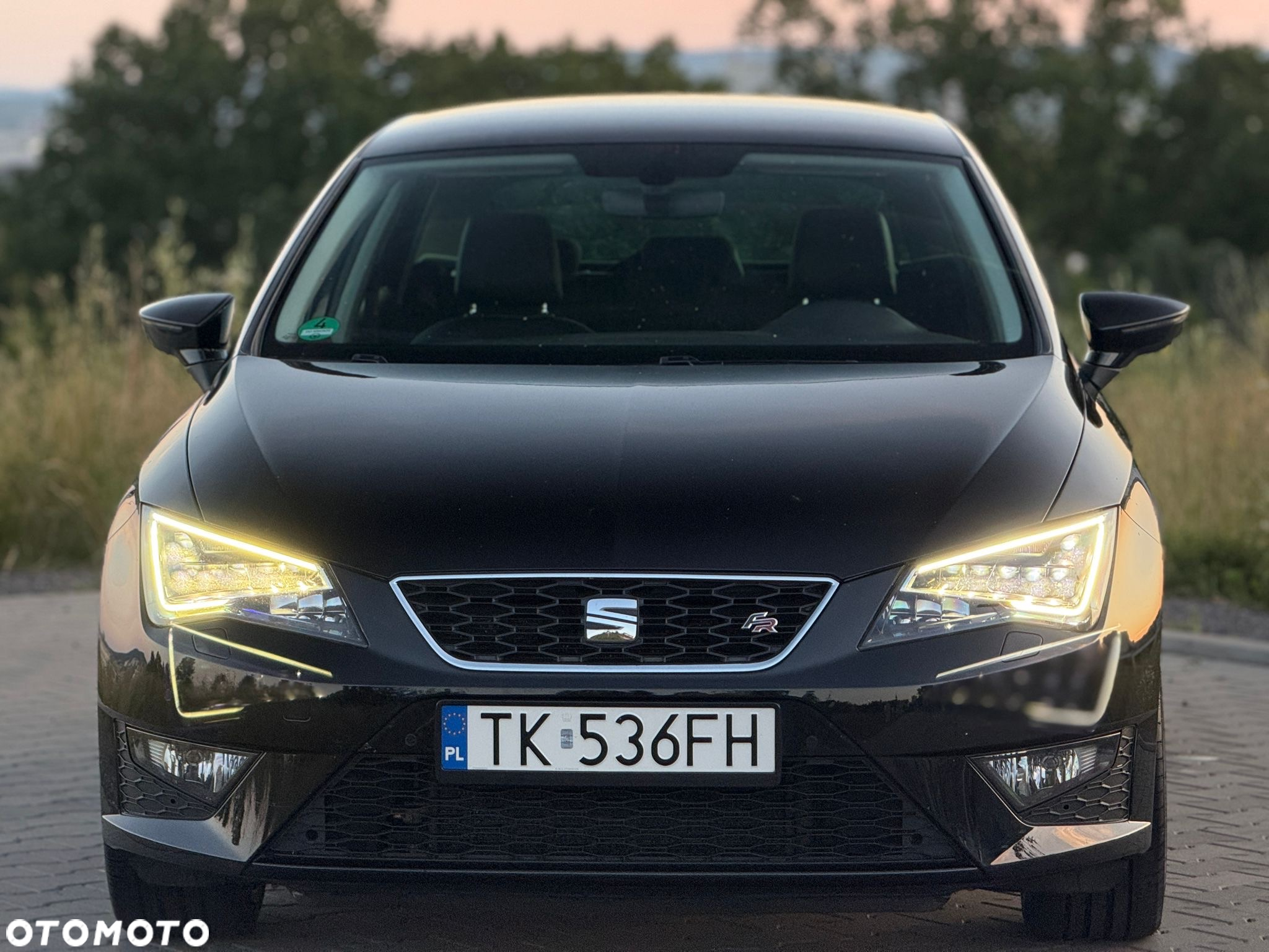 Seat Leon 2.0 TDI DPF DSG FR - 22