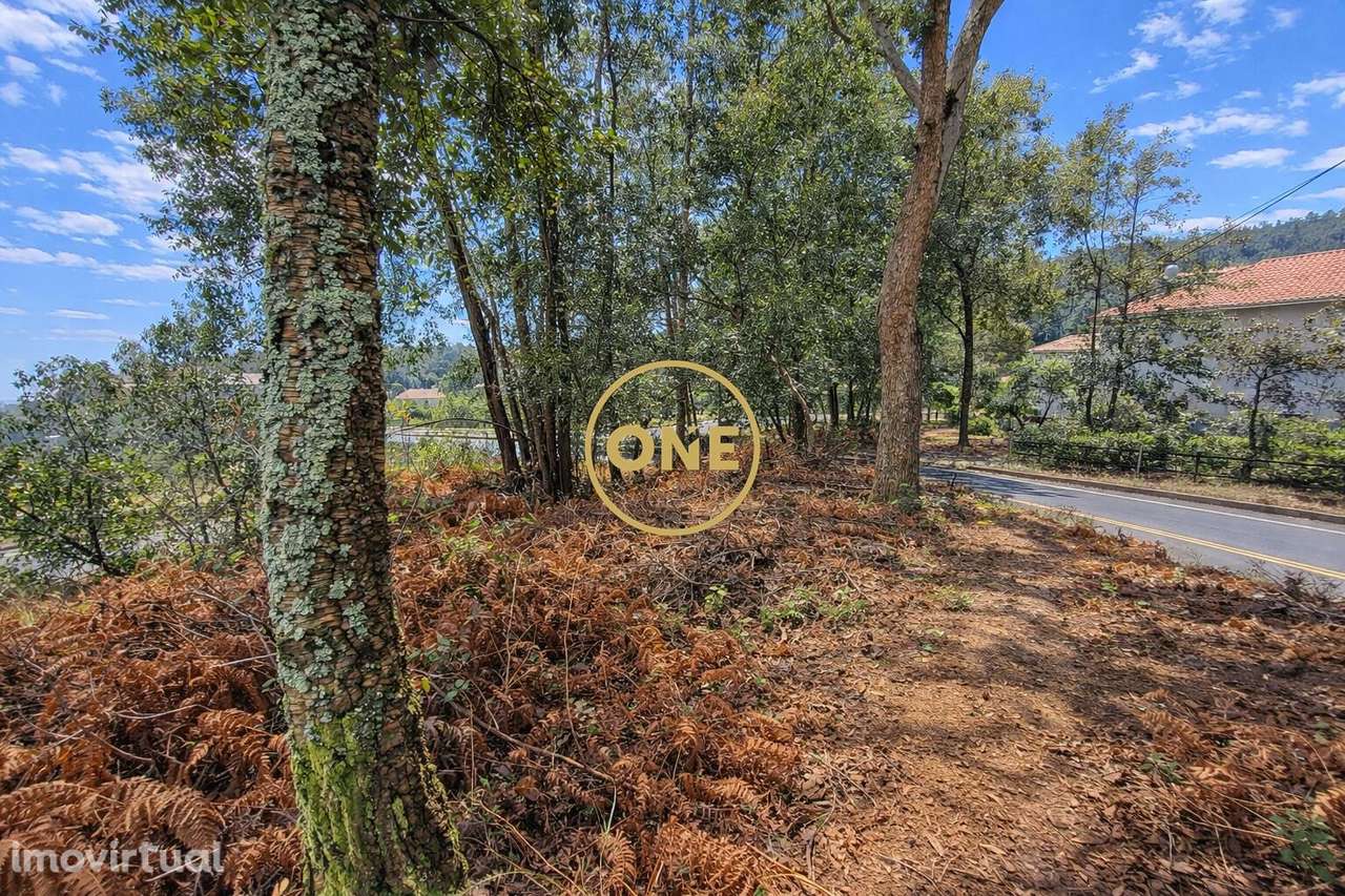 Terreno Para Construção em Freiriz, Vila Verde (Braga) - Grande imagem: 5/9