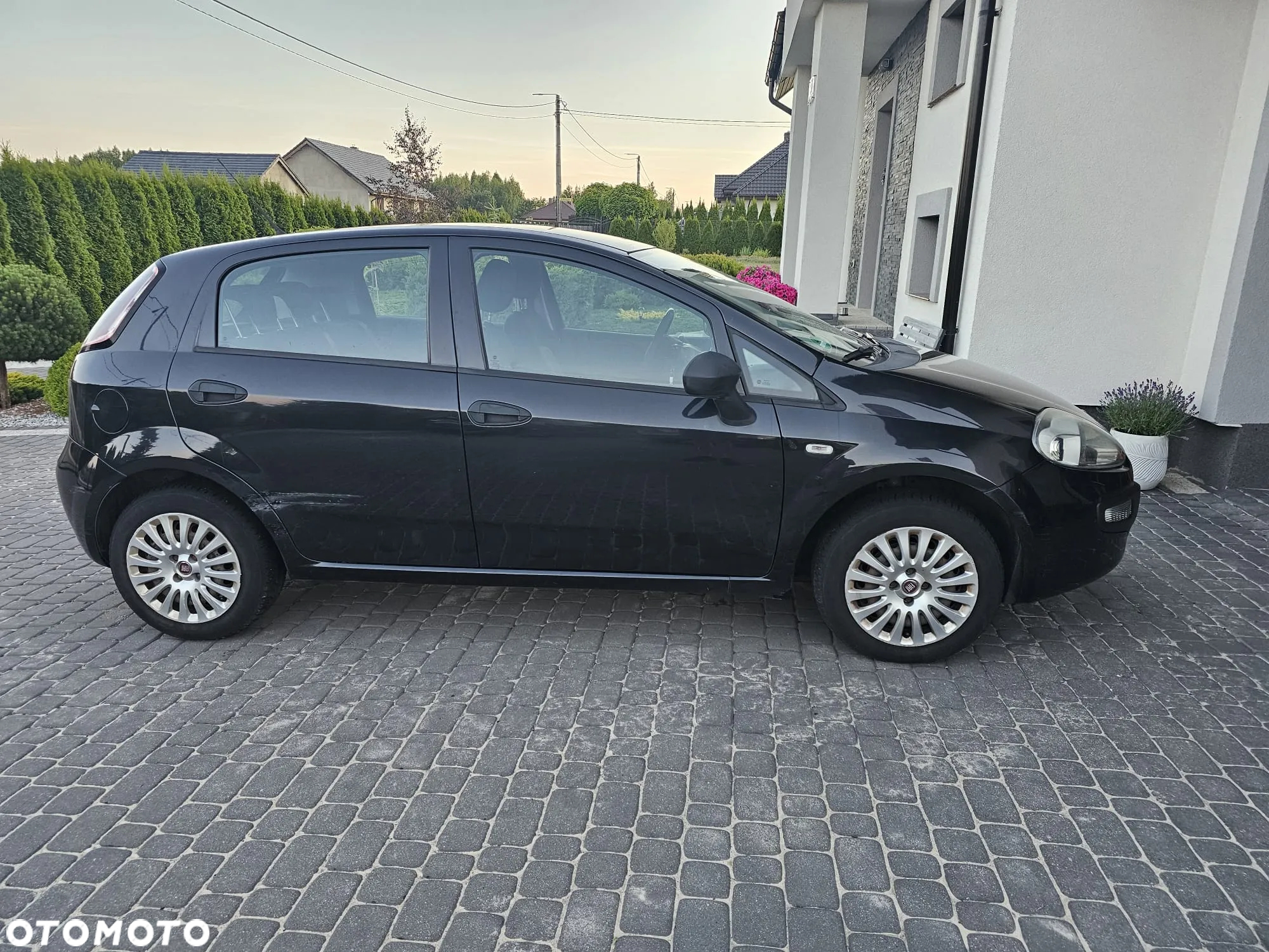 Fiat Punto 1.2 8V Classic - 8