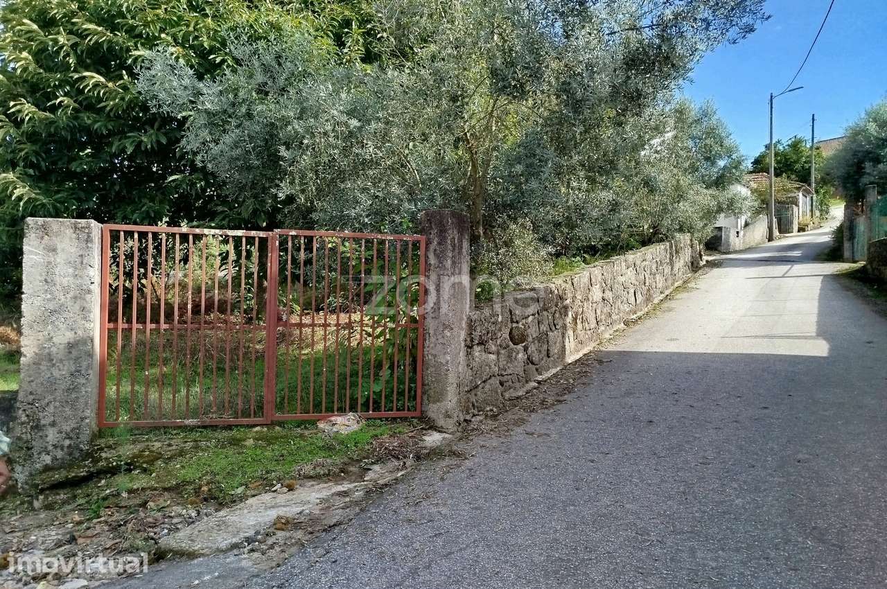 Dois lotes para construção com vários arvores de fruto, castalheiro...